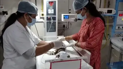 Infant Placed Alive in the Country Battles for Her Life